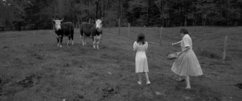 The Eyes of My Mother screenshot 1