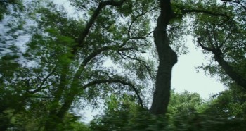 Why Him? screenshot 1