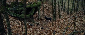 Don't Kill It screenshot 1