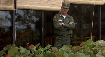 Blue Sky screenshot 2