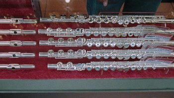 Barry Munday screenshot 1