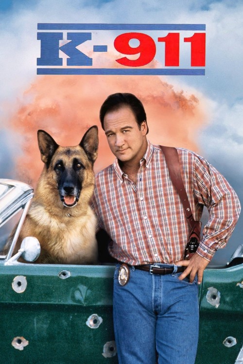 k-911 cover image