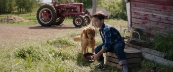 A Dog's Purpose screenshot 1