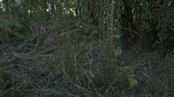 Mythica: The Iron Crown screenshot 2