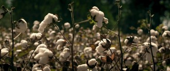 The Devil's Dolls screenshot 2