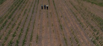 The Harvesting screenshot 1