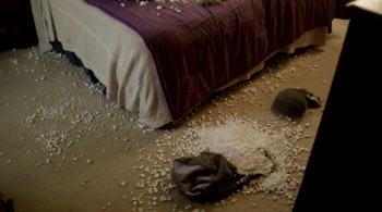 Knucklebones screenshot 2