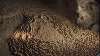 Cave of Forgotten Dreams screenshot 1