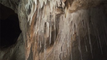 Cave of Forgotten Dreams screenshot 3