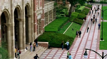 Peaceful Warrior screenshot 1