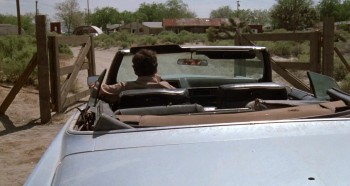 The Last Flight of Noah's Ark screenshot 3