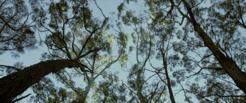 The Legend of Ben Hall screenshot 1