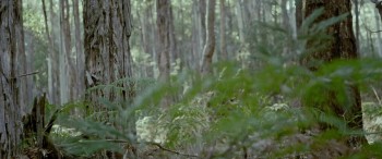 The Legend of Ben Hall screenshot 2