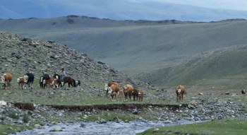The Eagle Huntress screenshot 1