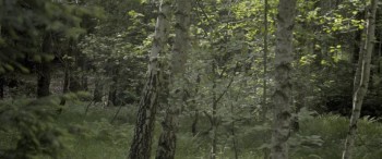 Alone in Berlin screenshot 3