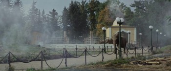 The Zookeeper's Wife screenshot 3