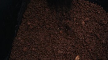 Rabbit Hole screenshot 2