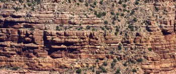 Is Genesis History? screenshot 1