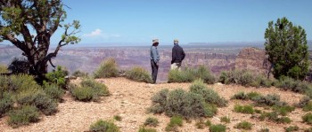 Is Genesis History? screenshot 2