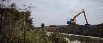 The Levelling screenshot 3