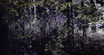 Tonight She Comes screenshot 2