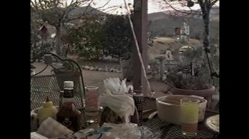 Phoenix Forgotten screenshot 1