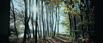 Alien: Covenant screenshot 1