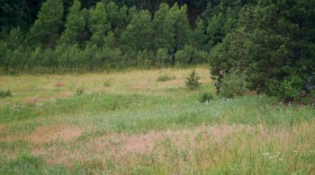 Star Raiders: The Adventures of Saber Raine screenshot 1