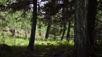 Star Raiders: The Adventures of Saber Raine screenshot 3