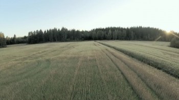 Operation Dunkirk screenshot 3