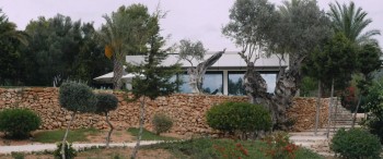 Blood Orange screenshot 1