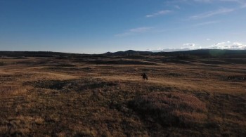 Dead Again in Tombstone screenshot 1