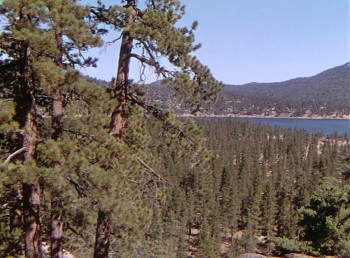 The Shepherd of the Hills screenshot 2