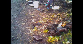 Voyage of Time: Life's Journey screenshot 1