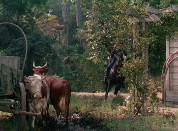 Seminole screenshot 2