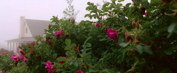 Red Christmas screenshot 2