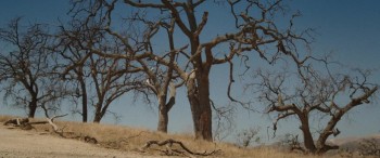 Annabelle: Creation screenshot 3