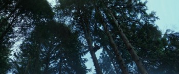 War for the Planet of the Apes screenshot 1