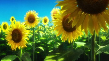 Harmony screenshot 2