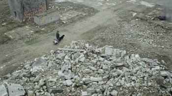 Manifesto screenshot 1