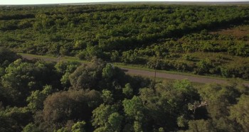 Armed Response screenshot 1