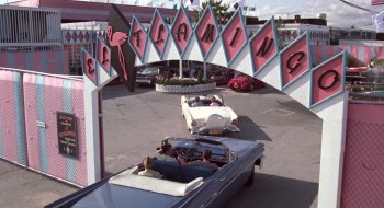 The Flamingo Kid screenshot 2