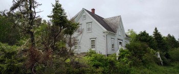 The Healer screenshot 1