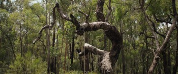 Killing Ground screenshot 1