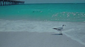 Beach Rats screenshot 3