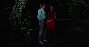 Evils of the Night screenshot 3