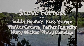 It Happened to Jane screenshot 1