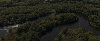 Wind Walkers screenshot 1