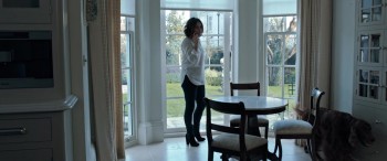 The Foreigner screenshot 1