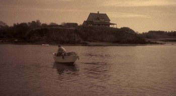 The Whales of August screenshot 3